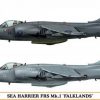 โมเดลประกอบเครื่องบิน Hasegawa Sea Harrier FRS Mk.1 1 : 72